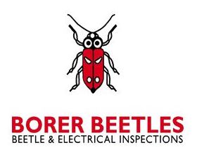 furniture beetle, termites, powder post beetle