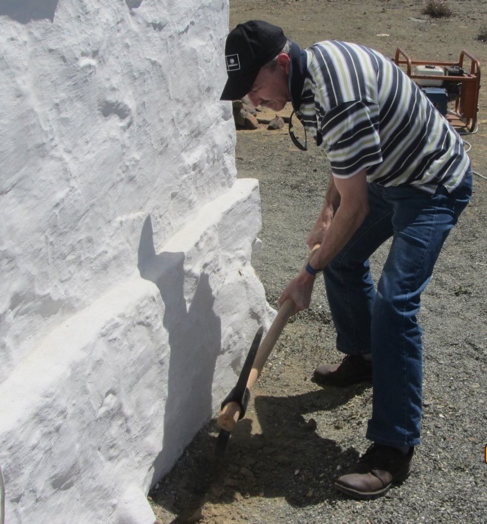 termite and beetle fumigation